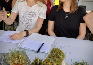 Komisja IPN ocenia jeże wykonane podczas rajdu
